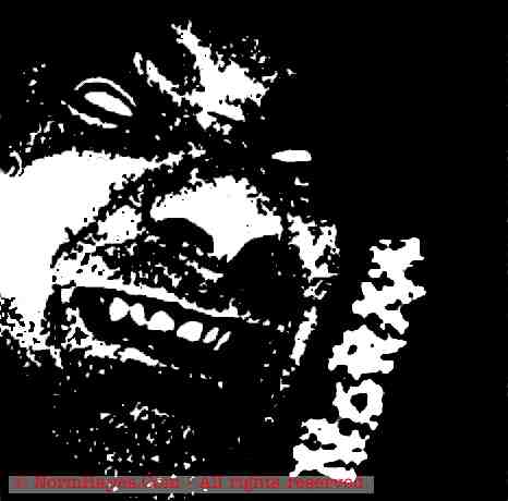 This was the First home-page for a wile it was the whole sight.