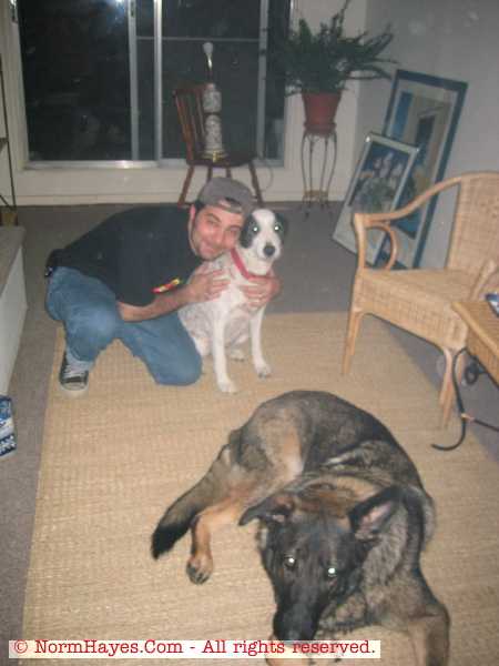 The Dogs & Me